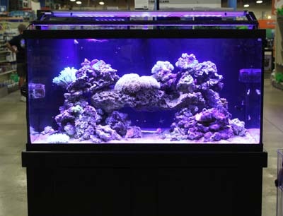 Glass Tank Listing